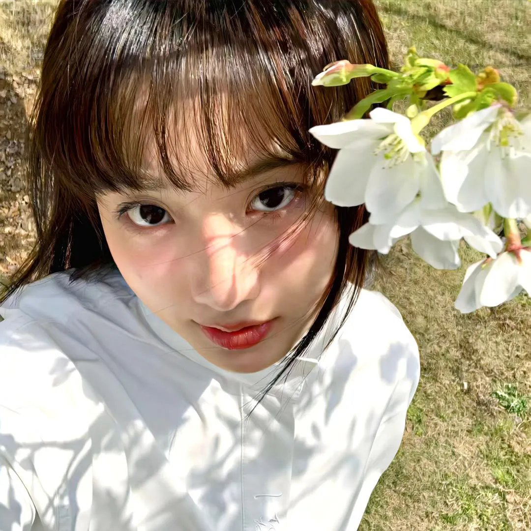 蔷薇少女 序曲