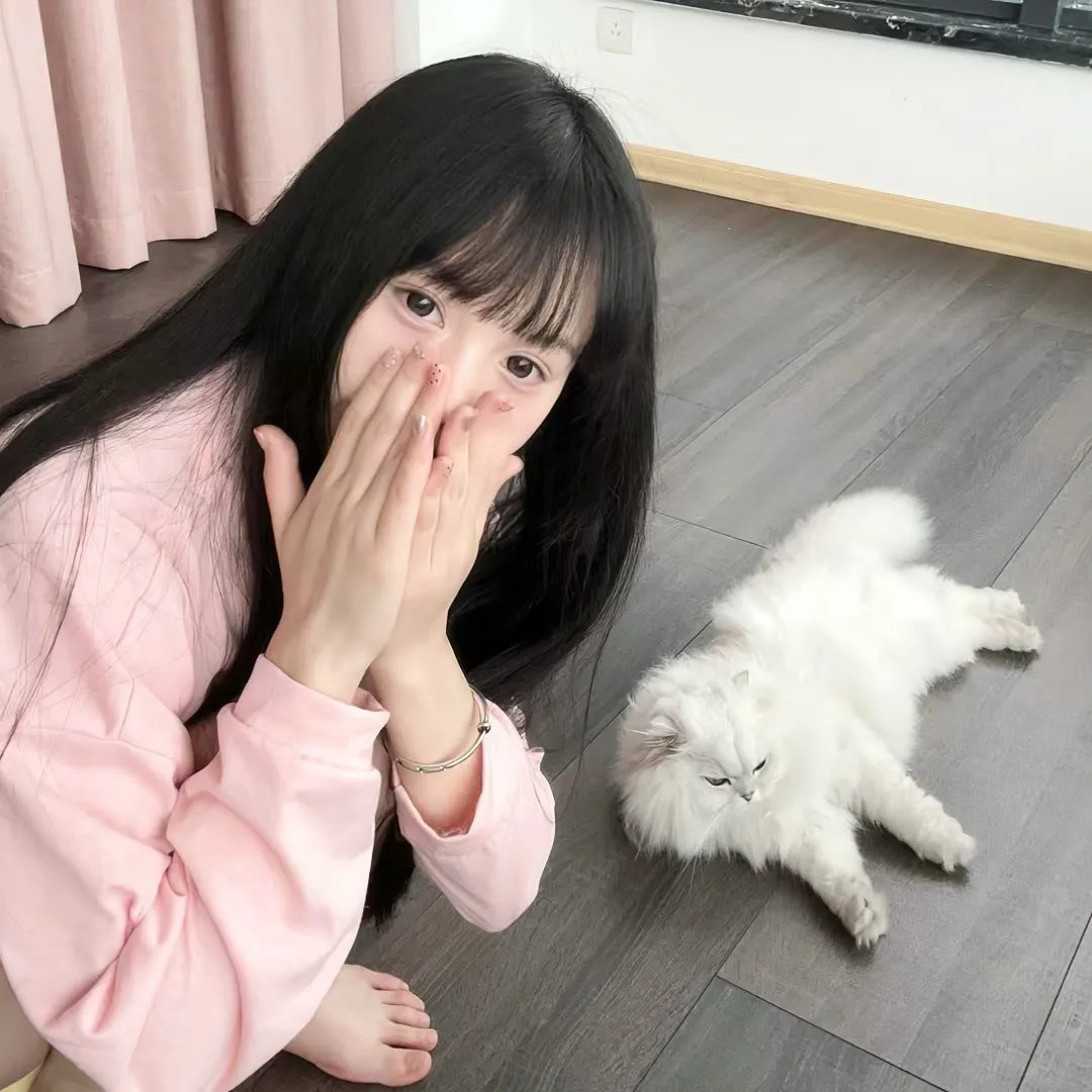 难续未了缘
